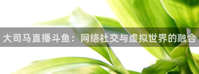 河豚体育直播官网：大司马直播斗鱼：网络社交与虚拟世界的融合