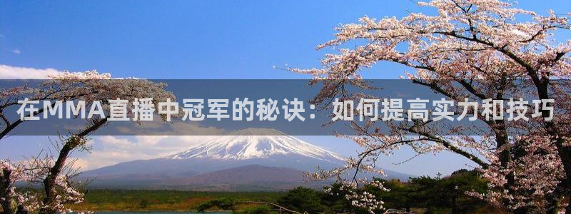 河豚在线nba直播：在MMA直播中冠军的秘诀：如何提高实力和技巧