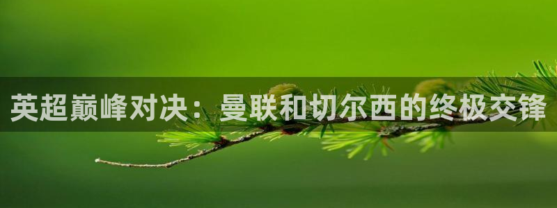 河豚的：英超巅峰对决：曼联和切尔西的终极交锋
