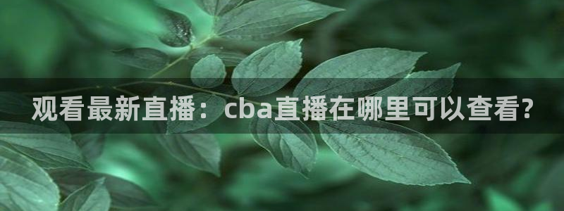 河豚面：观看最新直播：cba直播在哪里可以查看?