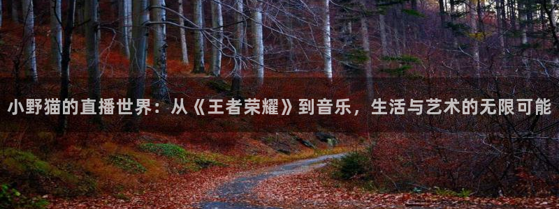 河豚nba直播在线直播：小野猫的直播世界：从《王者荣耀》到音乐，生活与艺术的无限可能