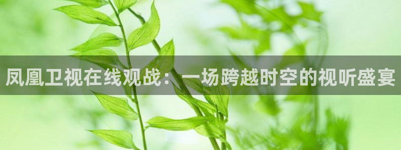 河豚体育足球直播：凤凰卫视在线观战：一场跨越时空的视听盛宴