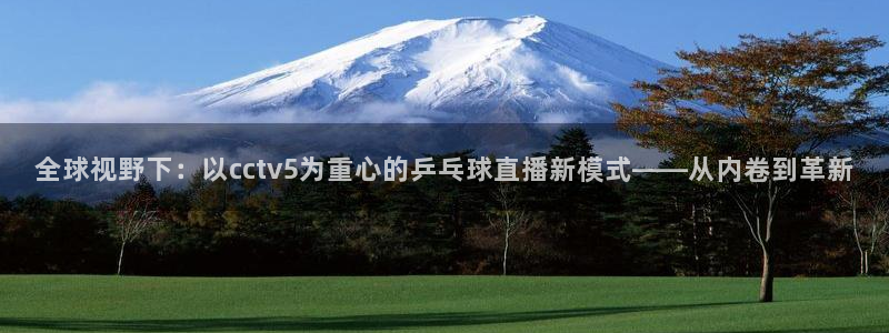 河豚在线nba直播：全球视野下：以cctv5为重心的乒乓球直播新模式——从内卷到革新